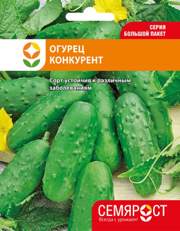 ogurec konkurent semrost-181-05-ru копия копия