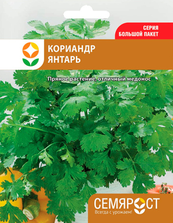 koriandr yantar semrost-03-04-ru-1
