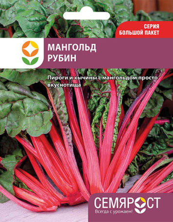 mangold-rubin-semrost-183-05-ru