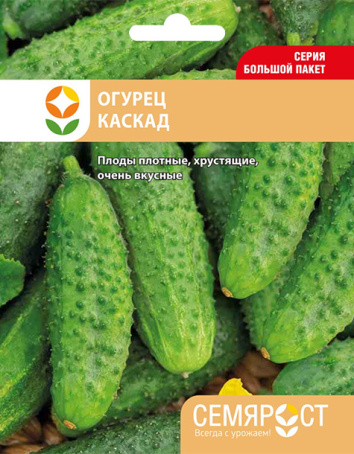 ogurec kaskad semrost-154-05-ru копия копия