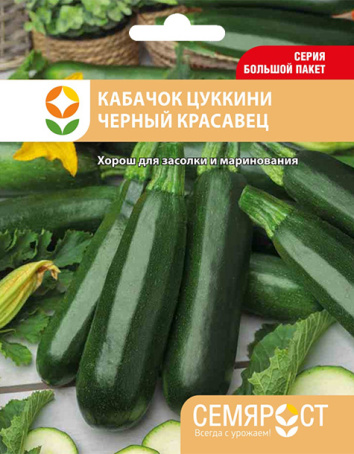kabachok chernyi krasavec semrost-150-05-ru копия копия