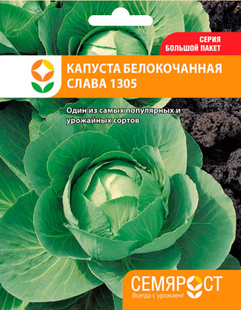 kapusta slava semrost-24-04-ru-1