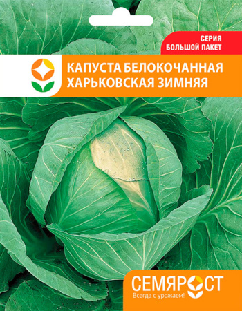 kapusta harkovskaya zimnaya semrost-25-04-ru-1