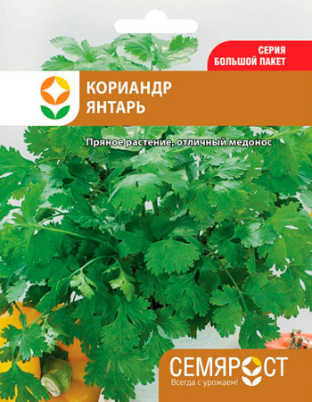 koriandr yantar semrost-03-04-ru-1