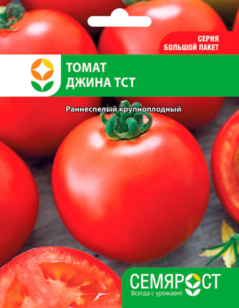 tomat dgina semrost-55-03-ru.indd-1