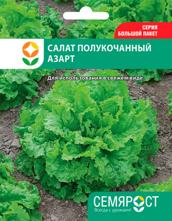 salat azart semrost-93-03-ru.indd-1