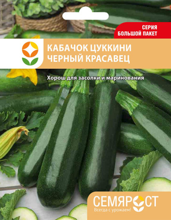 kabachok chernyi krasavec semrost-150-05-ru копия копия