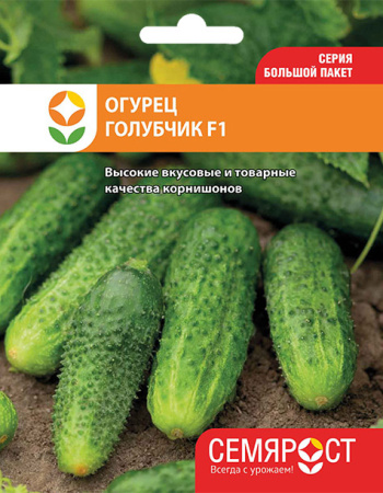 ogurec-golubchik-semrost-127-04-ru